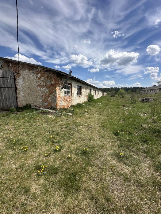 Продається Приміщення вільного призначення с. Залізці