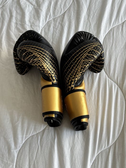 Luvas de Boxe Fila Profissionais