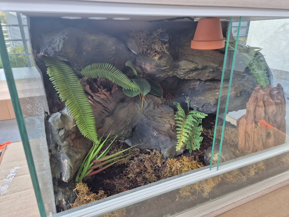 Terrarium z wyposażeniem