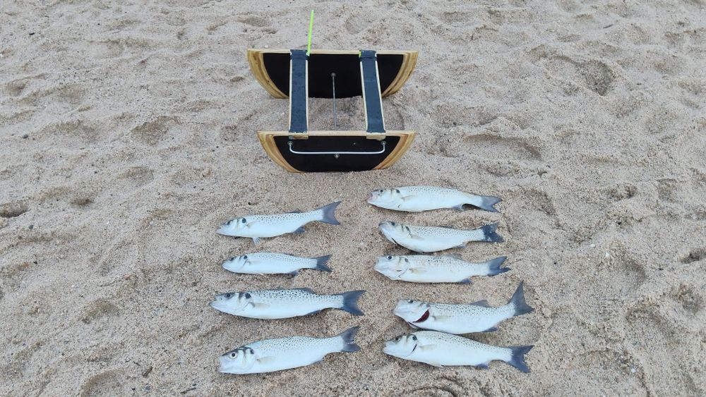 Catamarã/ barquinho pesca