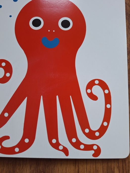 Książka dla dzieci A co to? Hector Dexet