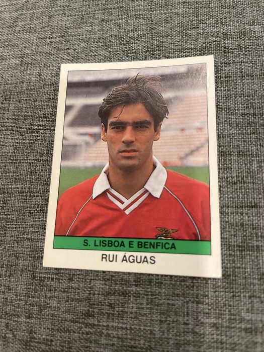 Cromo Rui Águas S. L. Benfica 1991