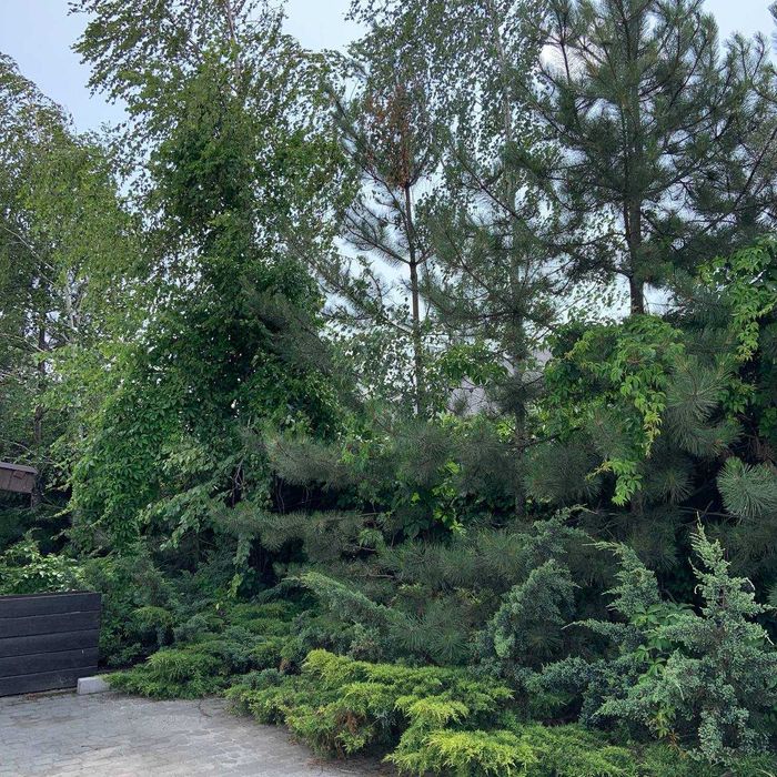Оренда будинку подобово з басейном/Аренда дома посуточно с бассейном