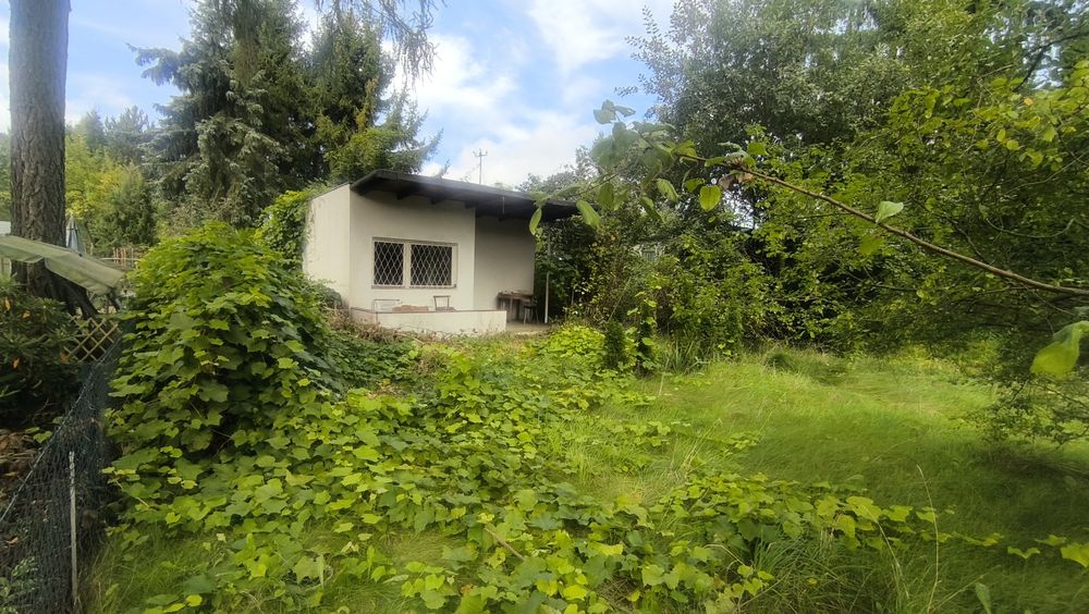 Działka ROD blisko lasu łagiewnickiego