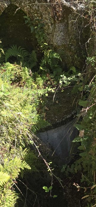 Quinta com Ruínas e Água de Mina – Projeto Off-Grid Total
