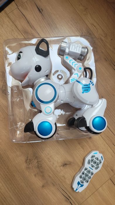 Wow dog. Intelligent dog. Robopies