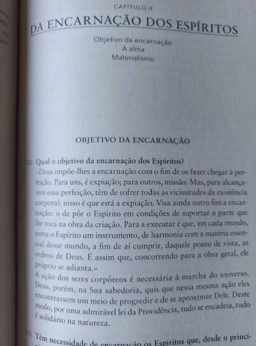 O Verdadeiro Livro dos Espíritos - Allan Kardec