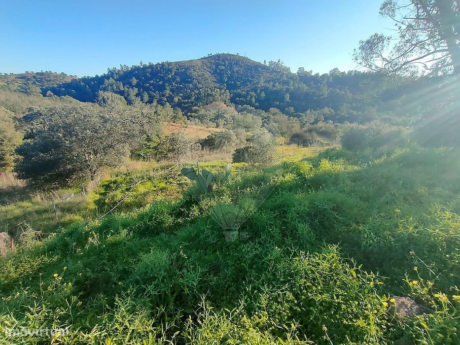 Terreno  para venda — São Brás de Alportel, Faro