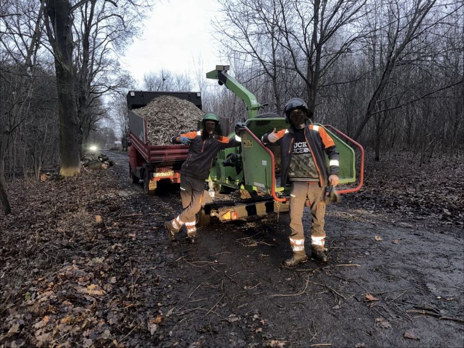 Wycinka drzew /Rębak /Frezwoanie Pni
