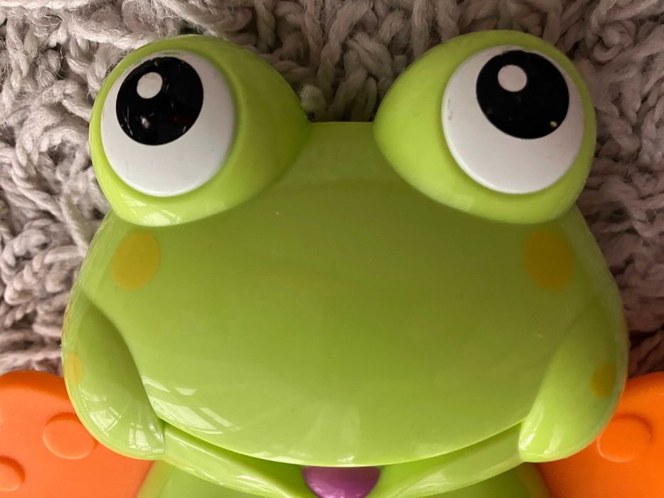 grająca żaba, grzechotka