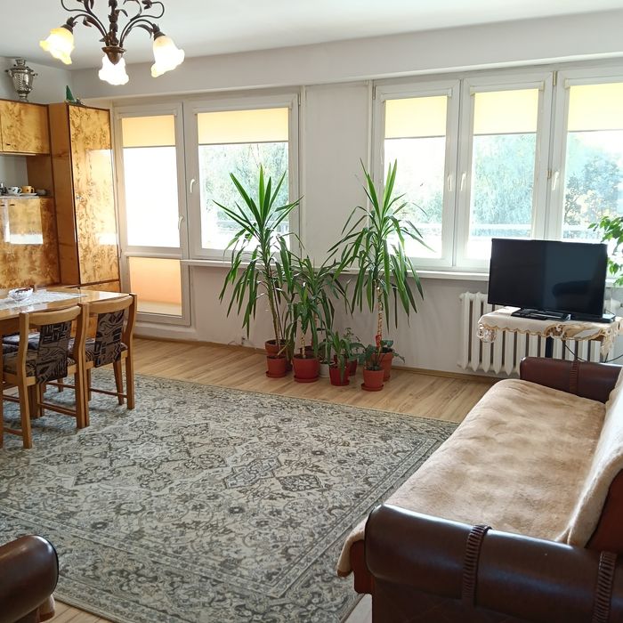 Mieszkanie – Bełchatów - Widok 2