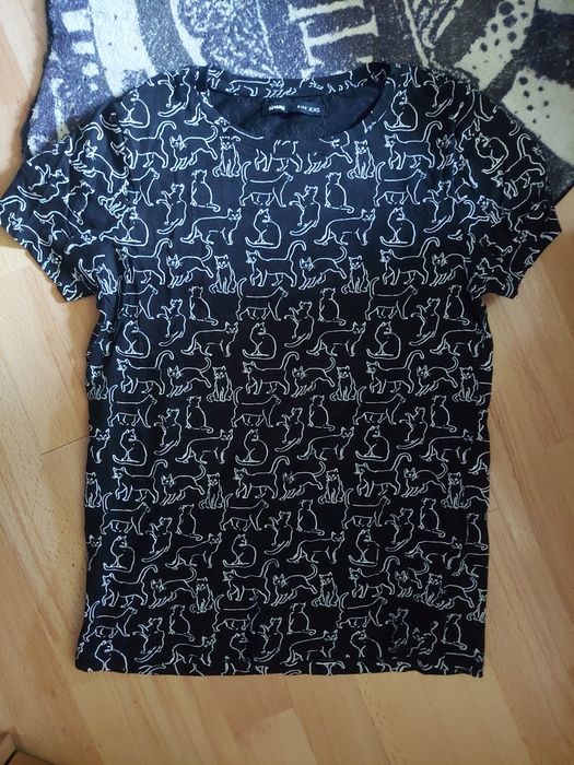 Sinsay T-shirt koszulka koty kotki
