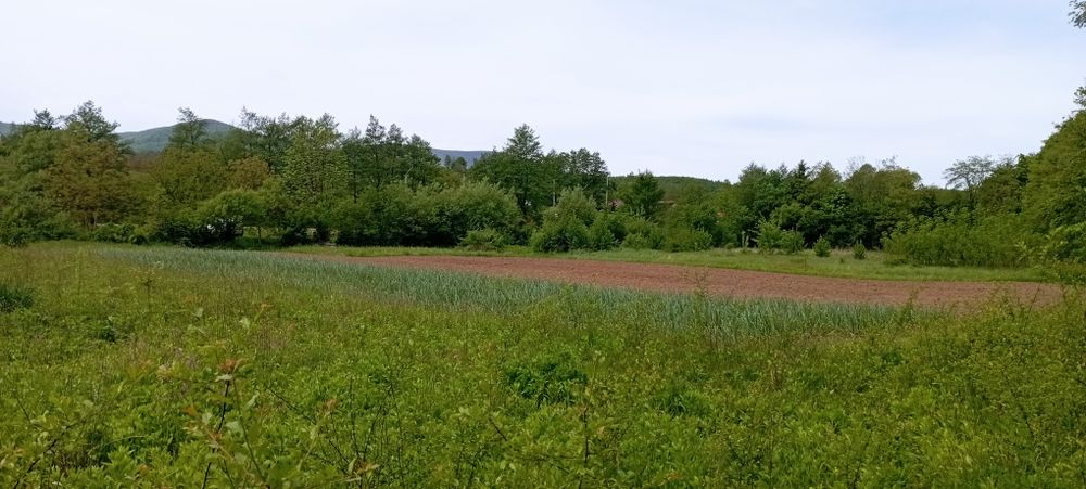 Продам ділянку у рекі Пеня Солочин 6 соток