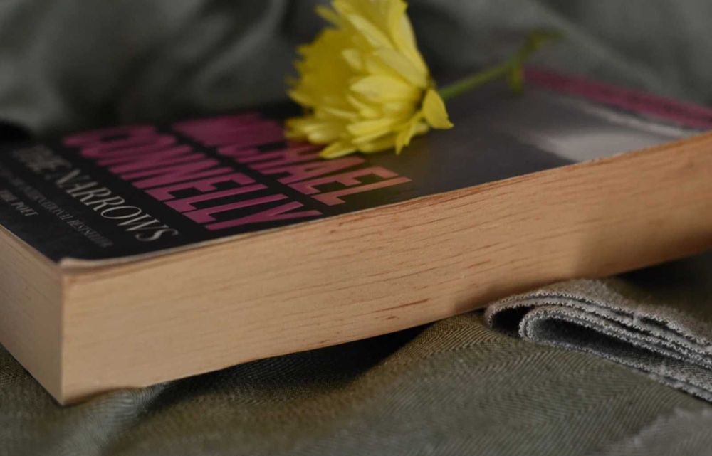 Livro "The Narrows", Michael Connelly