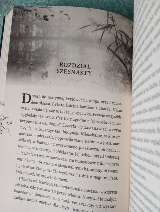 Przewoźnik książka młodzieżowal