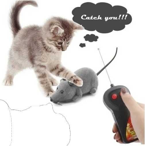 Rato com controlo remoto sem fio para animais domésticos