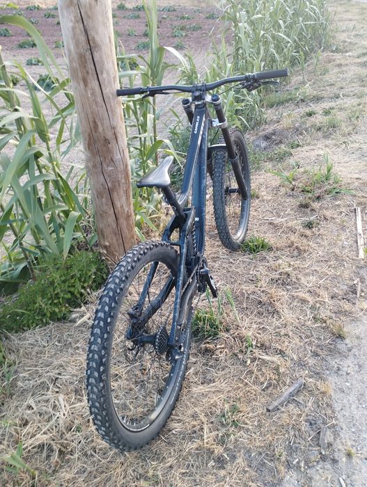 Scott gambler 930