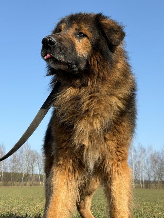 Pokochaj dużego Jeremiego