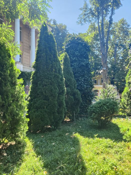 Сдам дом  Французский бульвар.СВЕТ Есть Всегда