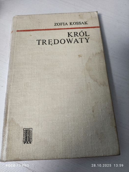Król Trędowaty Zofia Kossak