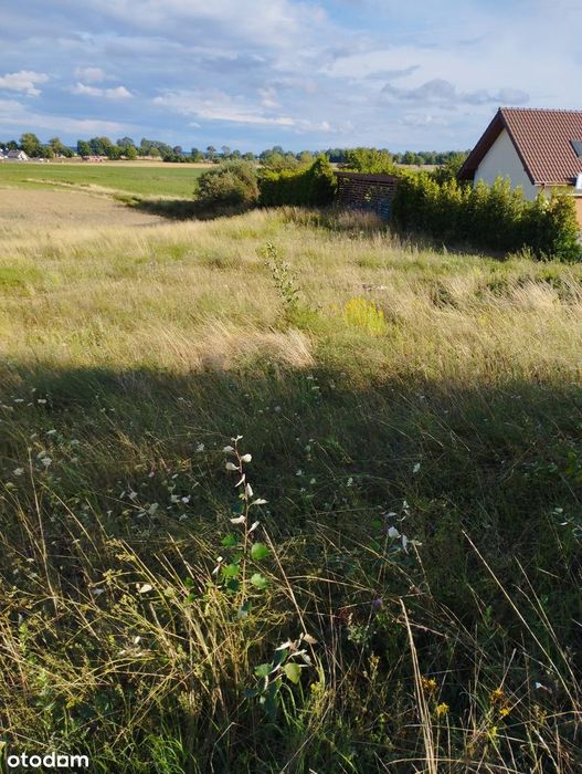 Działka 3160 m2 z pozwoleniem na budowę w Trąbkach Wielkich