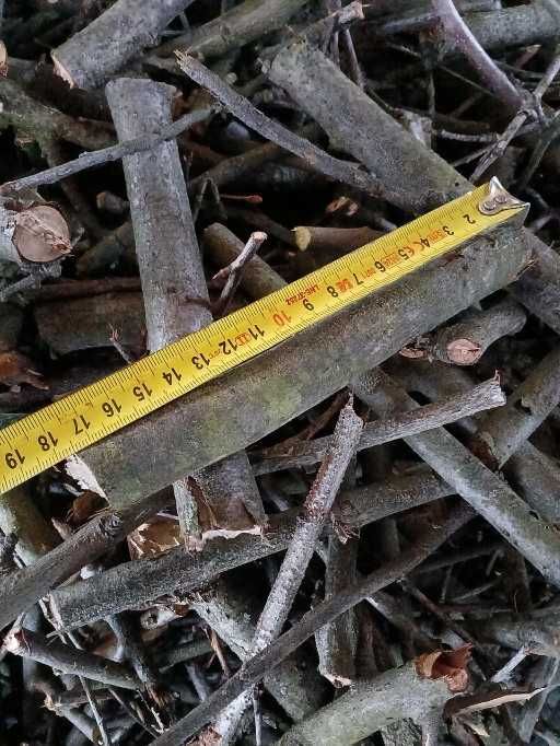 rębak do gałęzi wynajem