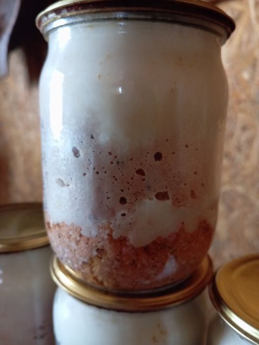 Продам паштет домашній