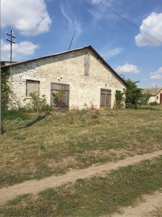 Продам действующую свиноферму