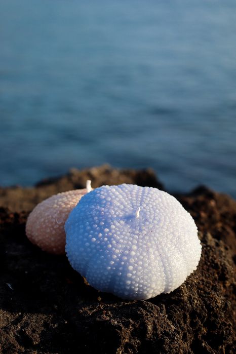 Conjunto decorativo do mar | Azorean Spirit