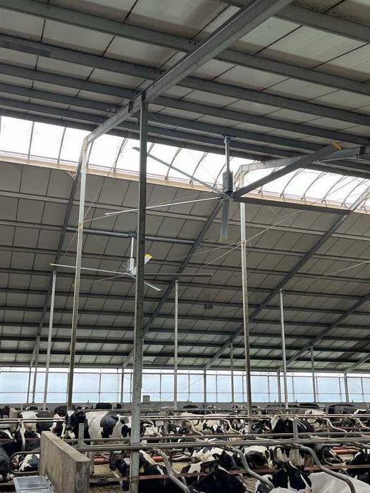 dla krów wentylatory Mieszacz powietrza do obory wentylacja