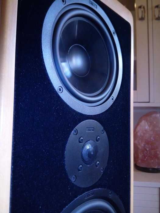 canton ergo rc-l kolumny głośnik nie kino domowe rcl