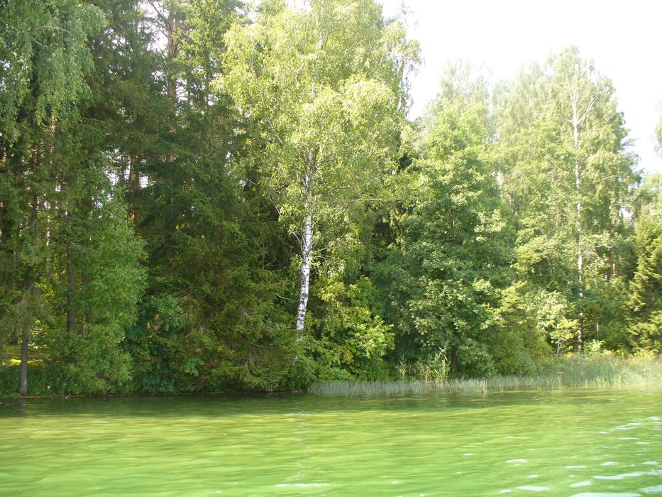 Domek nad jeziorem Serwy wolne terminy wrzesień