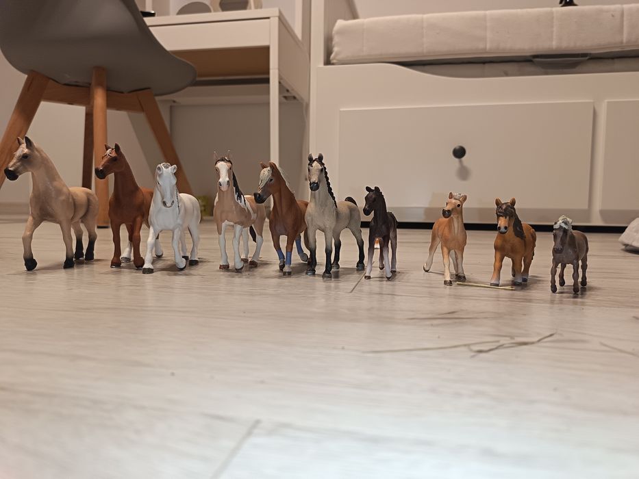 PILNIE sprzedam koniki