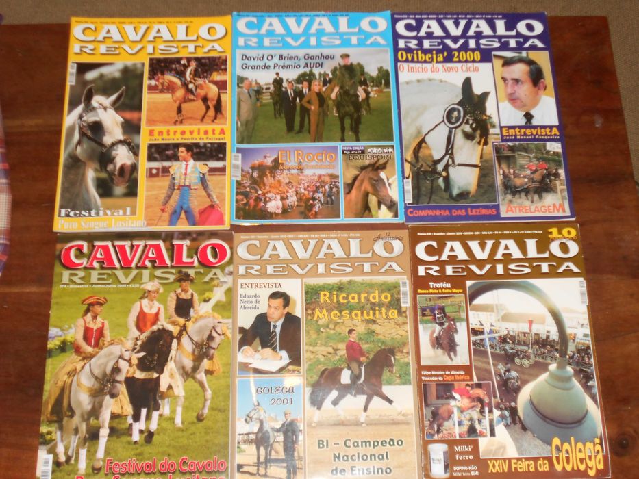 Conjunto revistas cavalos equitacao diversas 12 diferentes desocupar