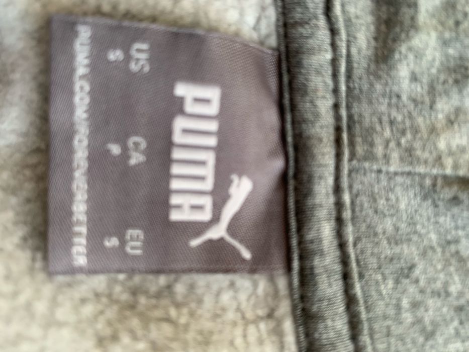Подовжена сіра Puma