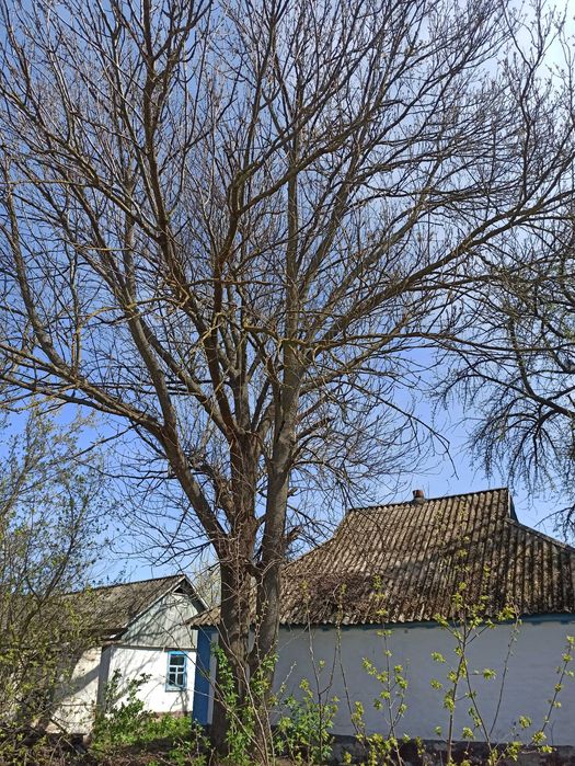 Продається будинок.