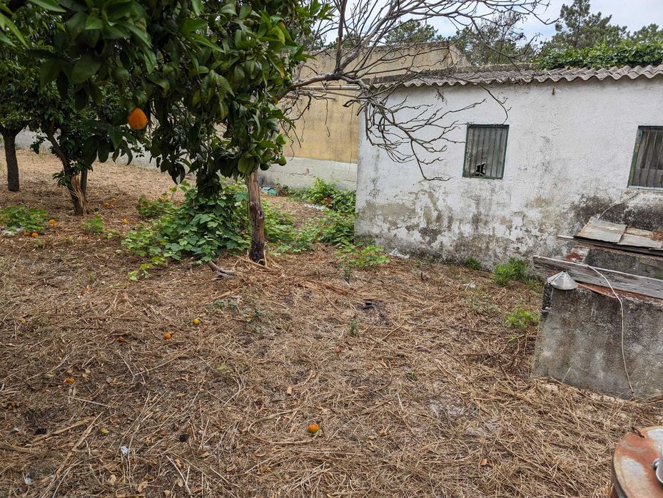 Terreno na Verdizela