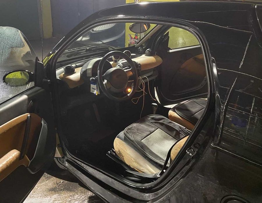 Smart fortwo panorâmico