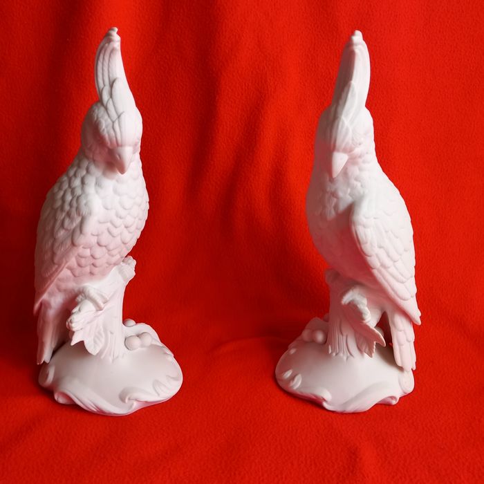 Casal de Catatuas e guarda Rios.V.A.