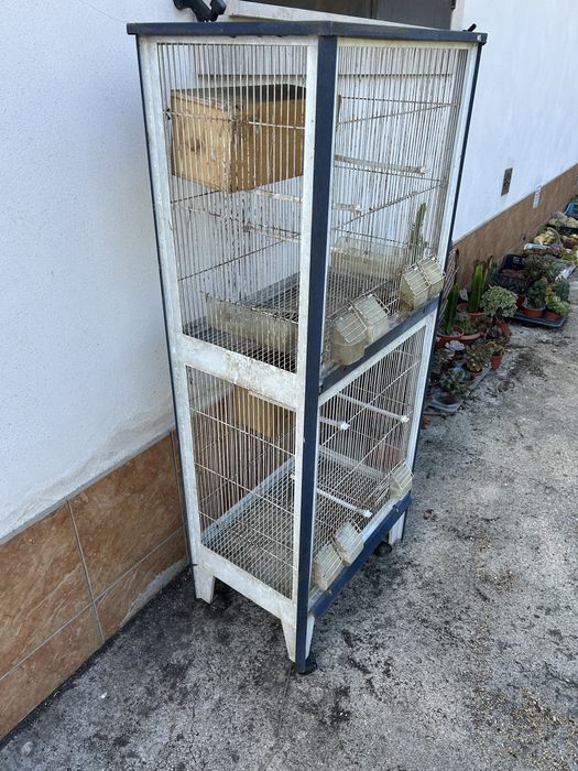 Gaiola para passaros