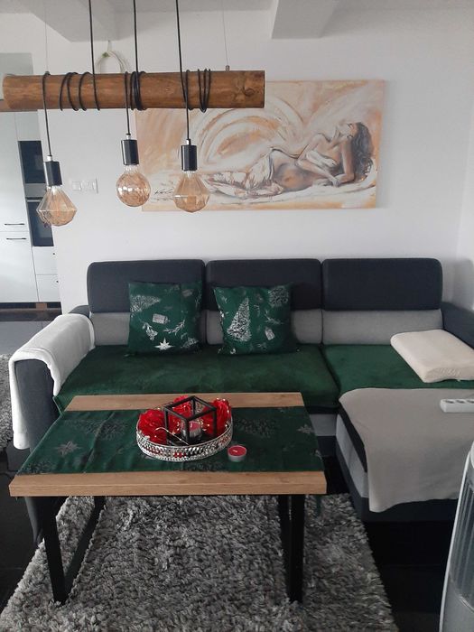 Domek do wynajecia  :cena promocyjna na miesiąc  wrzesien- październik!
