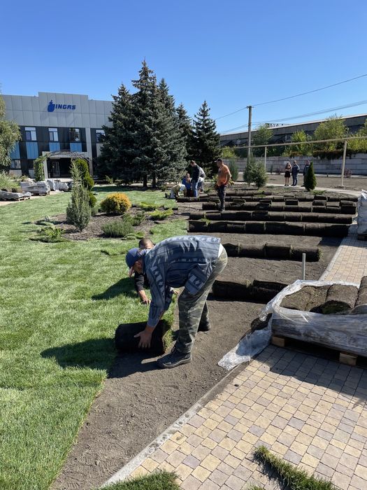 Озелененя територій.  Ландшафтний дизайн. Рулонний газон.