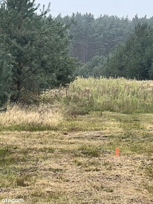 Działka budowlana 3010 m² prąd w drodze