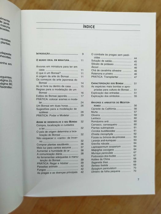 Bonsai de Interior de Jochen Pfisterer