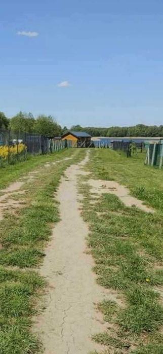 Dzierżawa działki, Mazury, Jezioro Białe