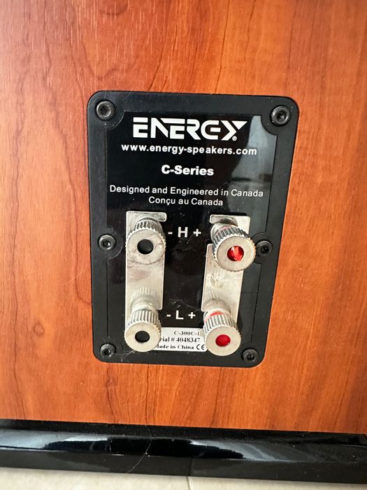 Kolumny Energy C-300 + amplituner Onkyo TX-SR507