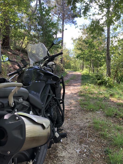 Triumph Tiger 800ABS 2014