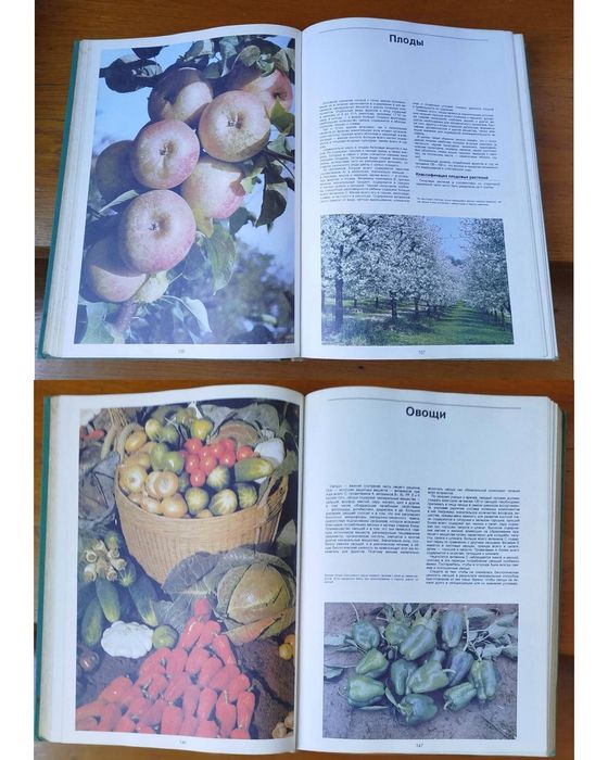 Энциклопедия садовода Артия Прага 1987 г