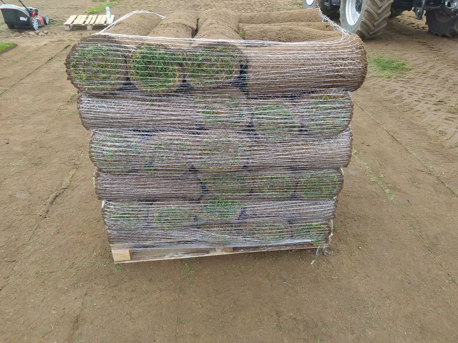 Trawa z rolki - Producent Garden Grass