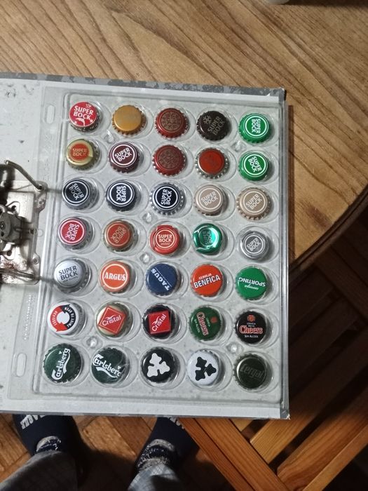 Lote de diversas sameiras